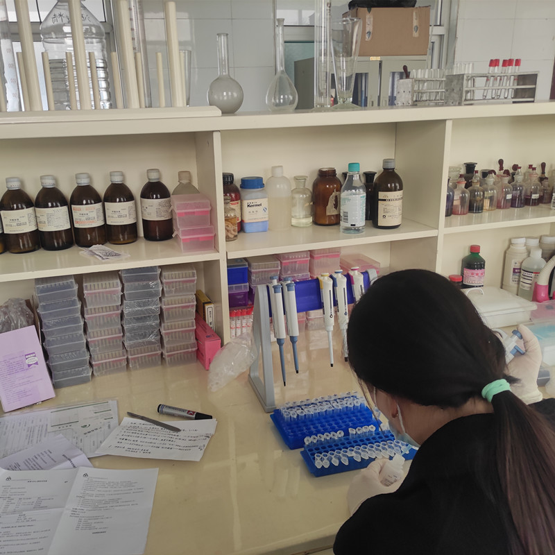  �ҹ�˾����������������ٷ���ʳƷ��˾ʹ��