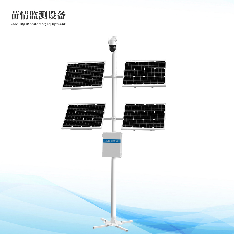  ����ɳ������