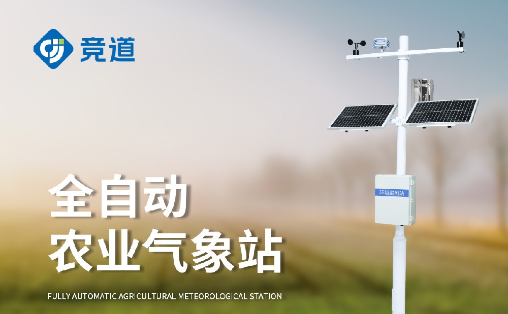 ũҵ����վ����ѡ��ɽ��304am��������