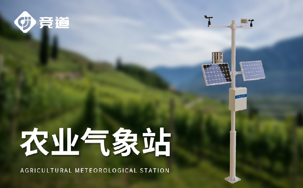 ��������վ�ڹ�԰�е���������Щ