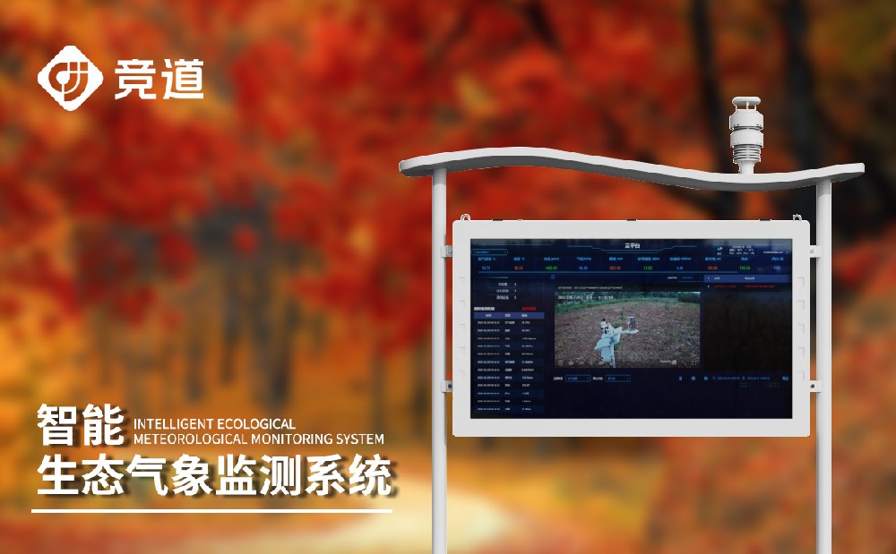 �������Ӽ��ϵͳʵʱ������������������