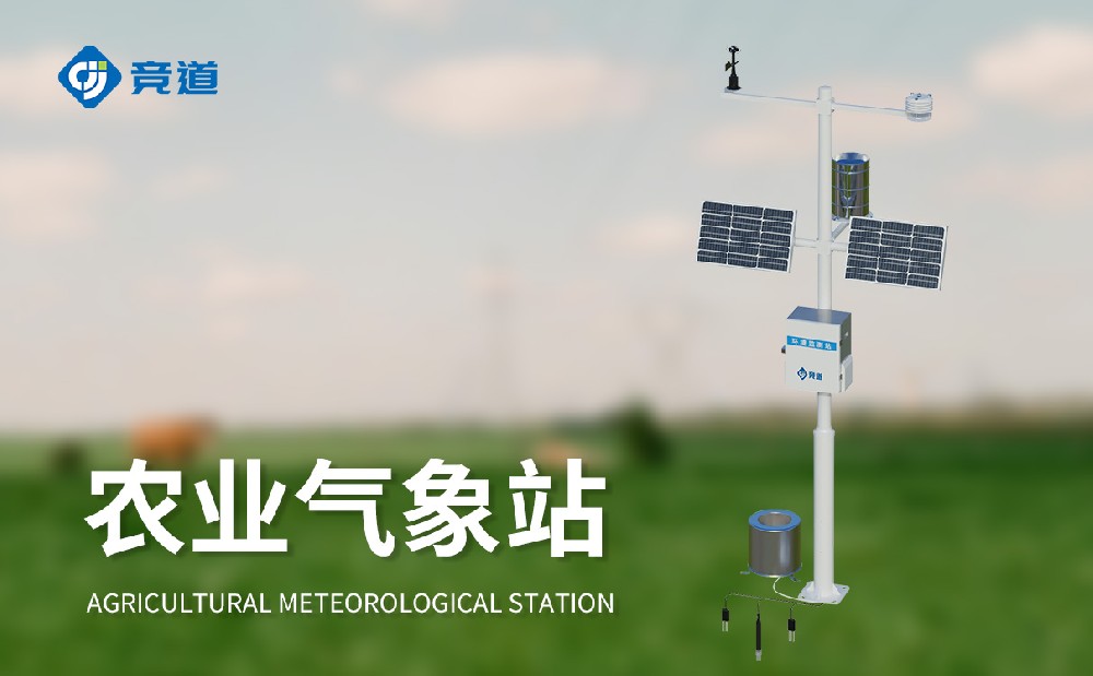 ũҵ������վ����ѡ��304am��������