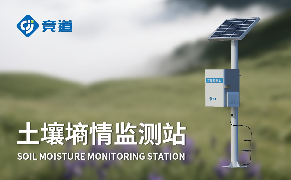 �����������ǲɼ��������������������׼�������