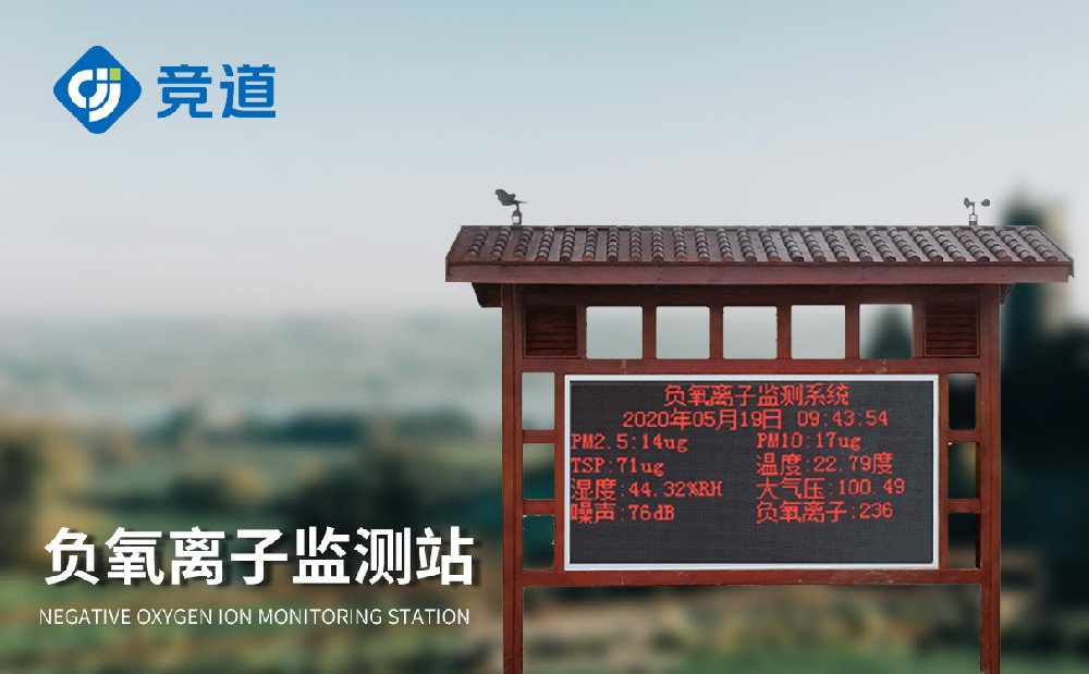 ���������ǣ�������������ָ��