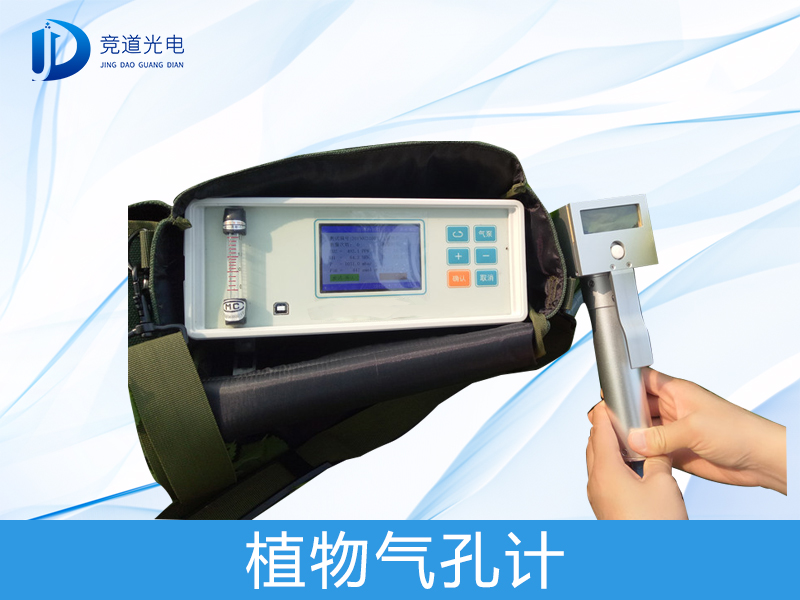 ֲ�����׼���ʲô��