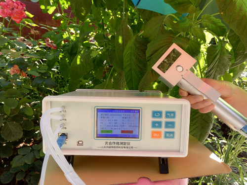 ֲ���������к�������