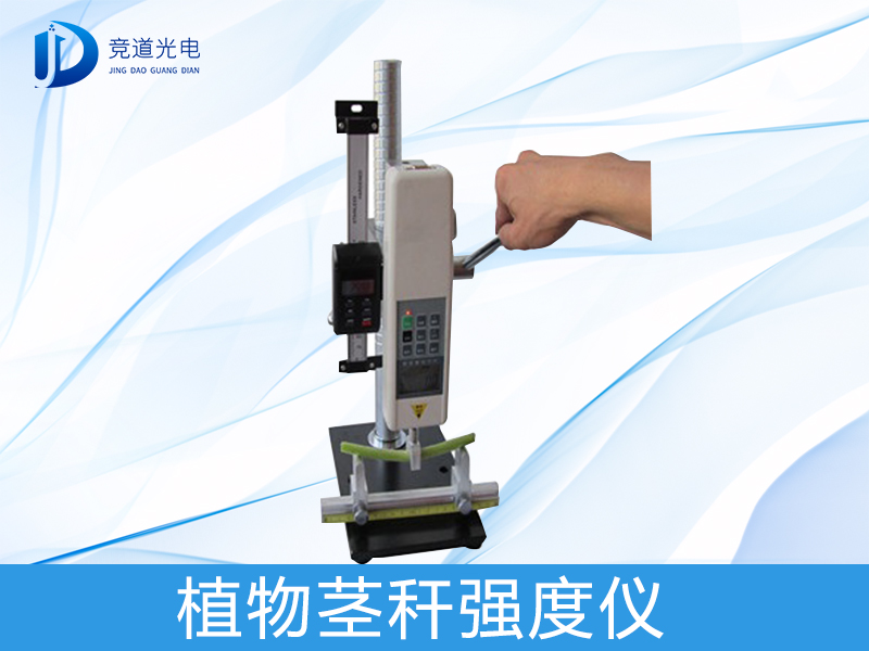 Ϊʲô����ֲ�ﾥ��ǿ����