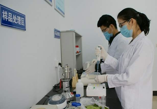 ʳƷ��ȫ�������Ҫְ��