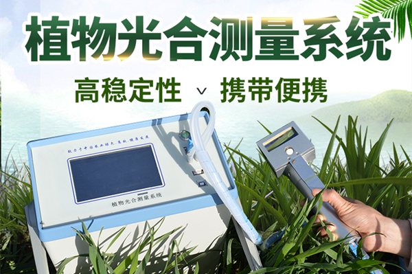 ��Яʽ�����-������òⶨ��