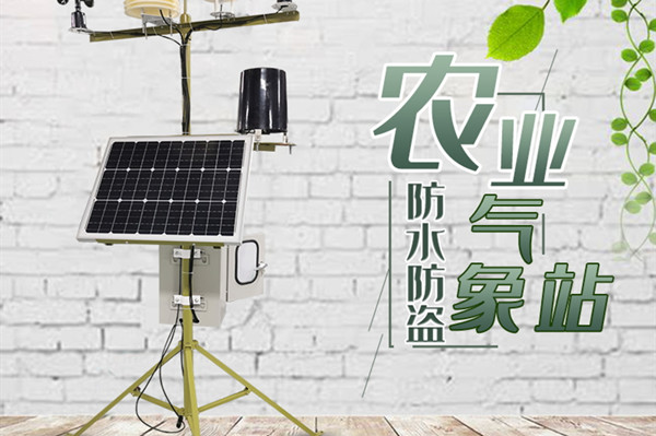 �������վ