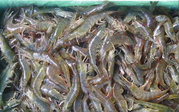 ˮ��Ʒ��������豸