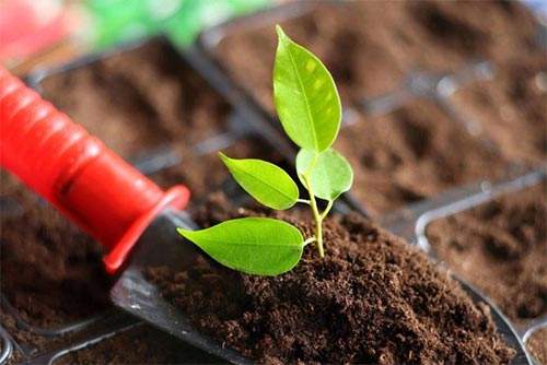 ��Яʽ����Ӫ������ǸĽ�����ʩ�ʹ���