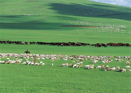 ��ԭ���󻷾����ϵͳ