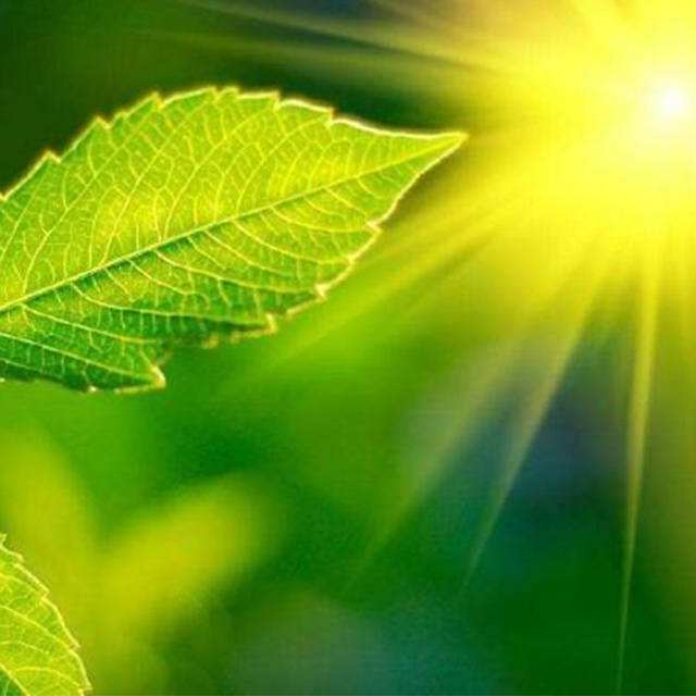 ��Яʽ������òⶨ�ǲ�����������