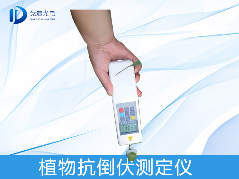 ֲ�￹����