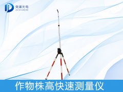 �������������ʲô����������������