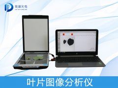 ҶƬͼ�������η�������