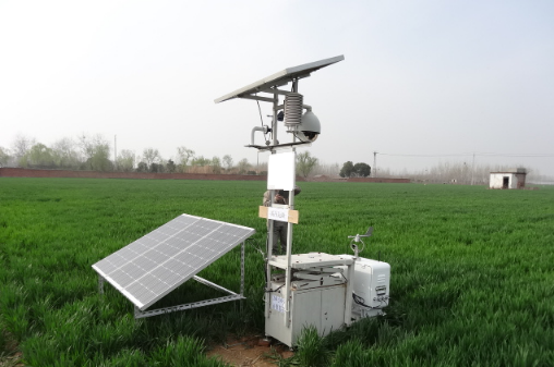 ����Զ������������׽����