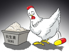 ʳƷ�����ز�����������μ����