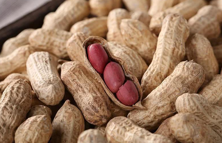 ����ù��