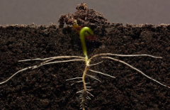 ΪʲôҪ���������л��ʼ����