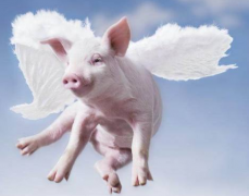 ���������׻������÷��������ļ�⹤����